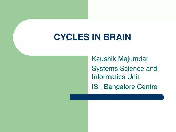cycles in brain