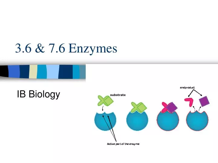 3 6 7 6 enzymes