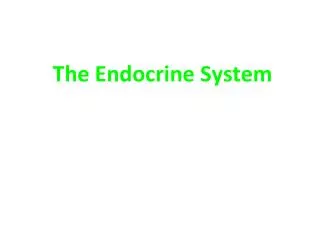 The Endocrine System