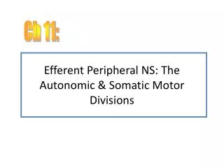 Efferent Peripheral NS: The Autonomic &amp; Somatic Motor Divisions