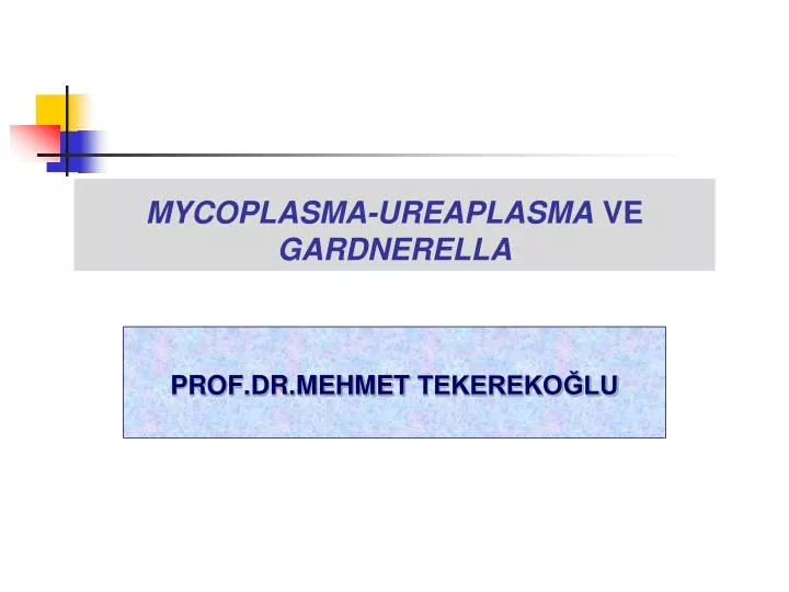 mycoplasma ureaplasma ve gardnerella