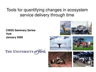 Tools for quantifying changes in ecosystem service delivery through time