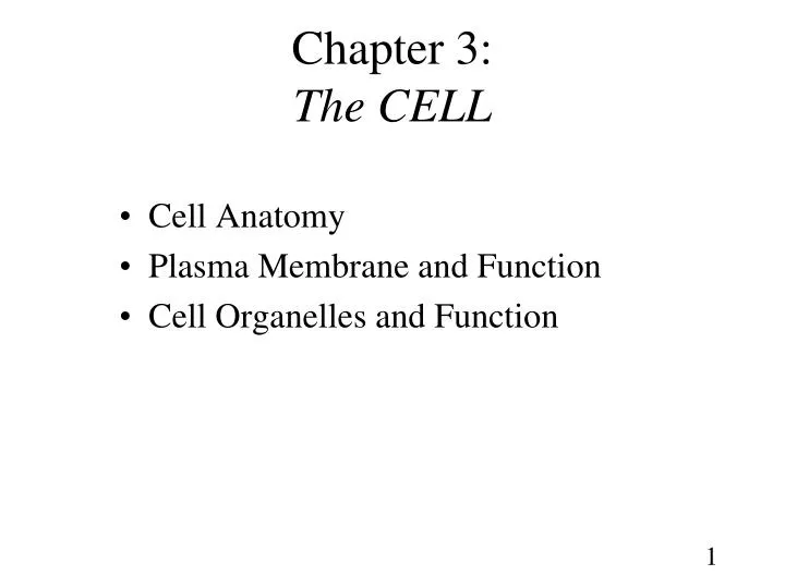 chapter 3 the cell