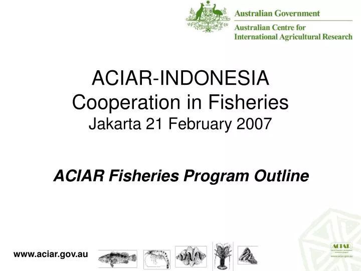 aciar indonesia cooperation in fisheries jakarta 21 february 2007