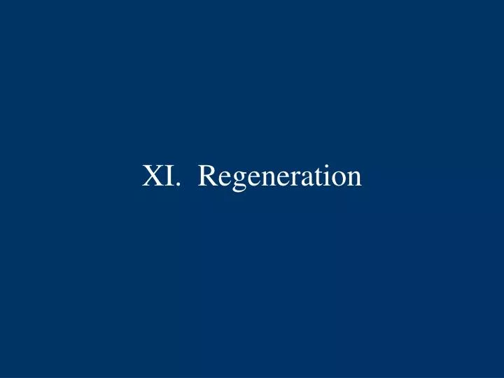 xi regeneration