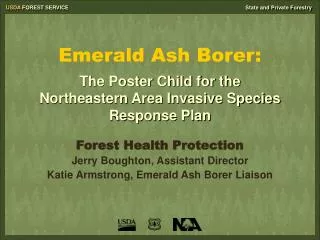 Emerald Ash Borer:
