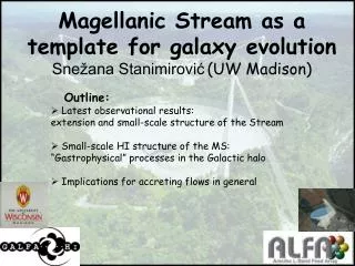 Magellanic Stream as a template for galaxy evolution Snežana Stanimirović (UW Madison)