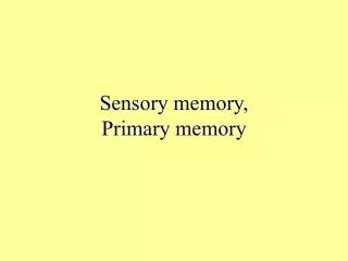 Sensory memory, Primary memory