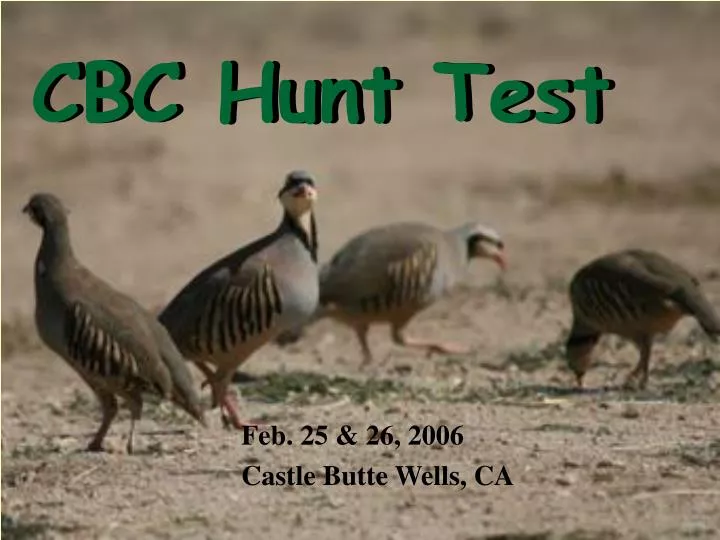 cbc hunt test