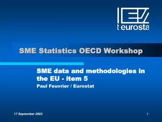 SME Statistics OECD Workshop