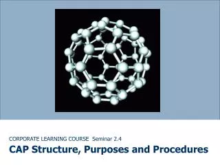 CORPORATE LEARNING COURSE Seminar 2.4 CAP Structure, Purposes and Procedures