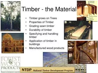 Timber - the Material