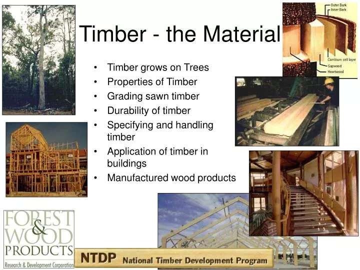 timber the material