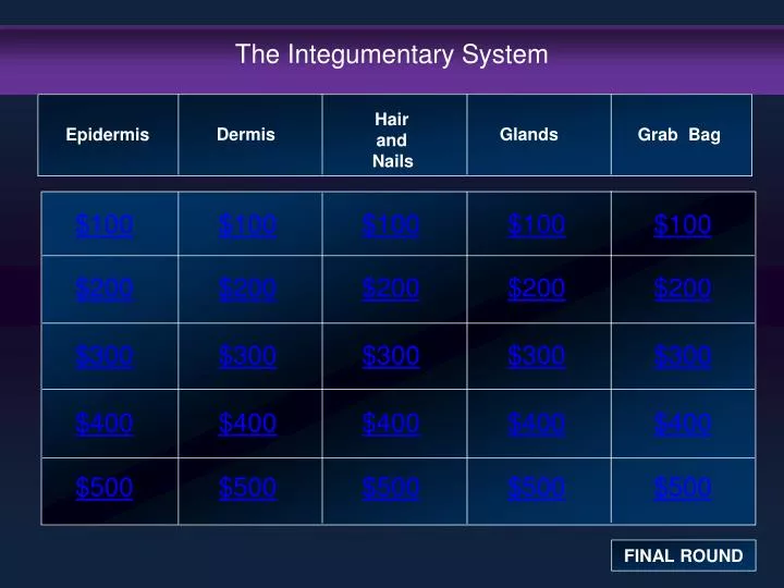 the integumentary system