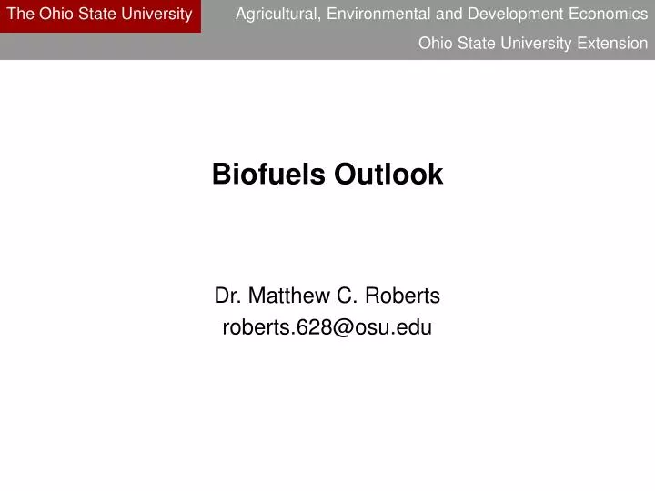 biofuels outlook