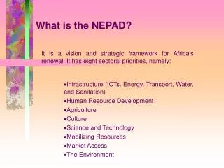 What is the NEPAD?