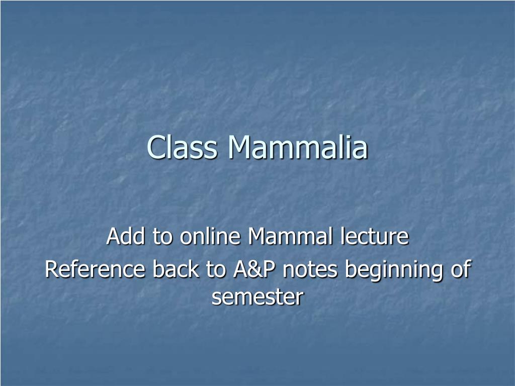 PPT - Class Mammalia PowerPoint Presentation, free download - ID:148425