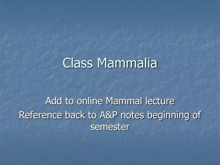 class mammalia