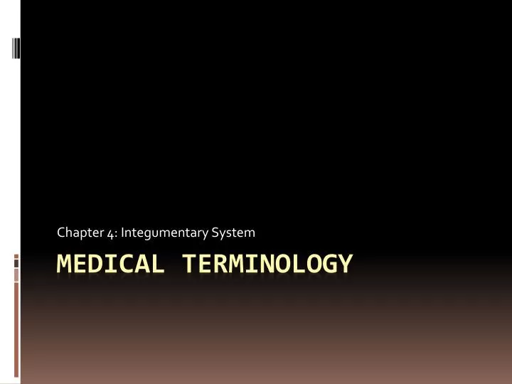 chapter 4 integumentary system