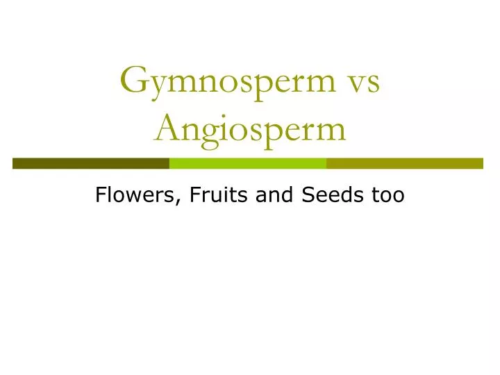 gymnosperm vs angiosperm