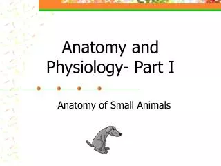Anatomy and Physiology- Part I