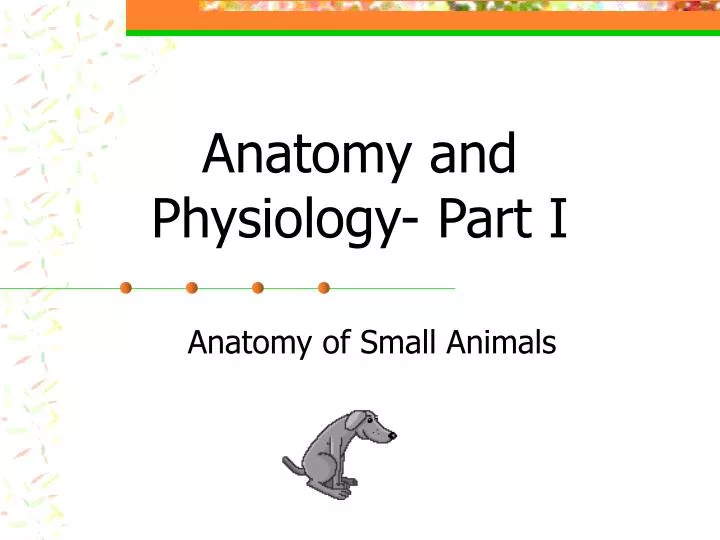 anatomy and physiology part i
