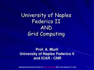 University of Naples Federico II AND Grid Computing