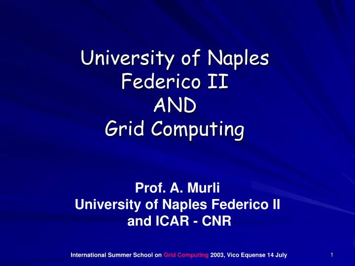 university of naples federico ii and grid computing