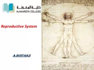 Reproductive System a.bustanji