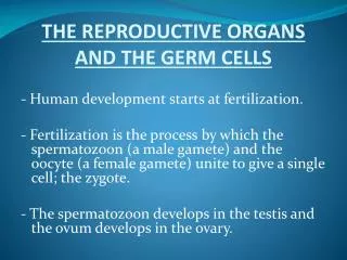 THE REPRODUCTIVE ORGANS AND THE GERM CELLS