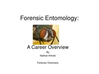 Forensic Entomology: