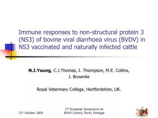 Immune responses to non-structural protein 3 (NS3) of bovine viral diarrhoea virus (BVDV) in NS3 vaccinated and naturall