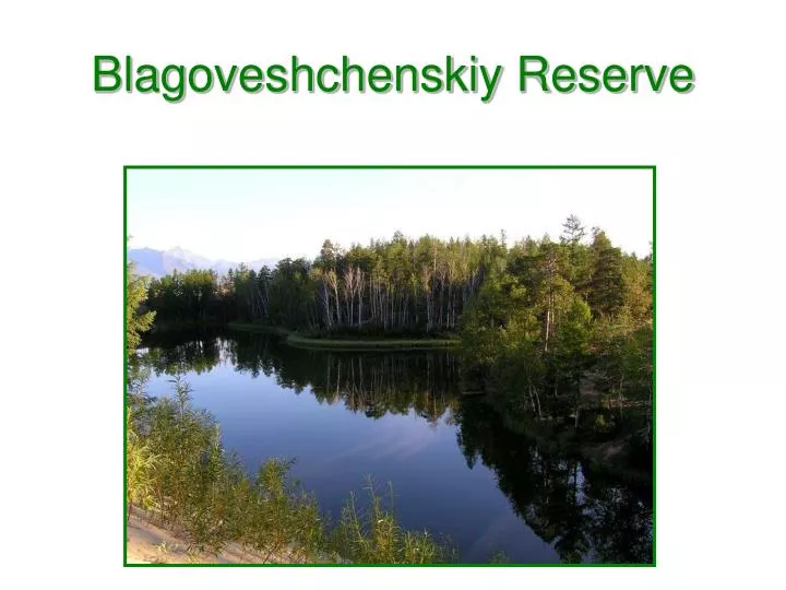 blagoveshchenskiy reserve