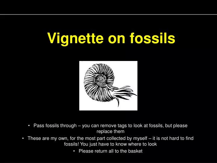 vignette on fossils