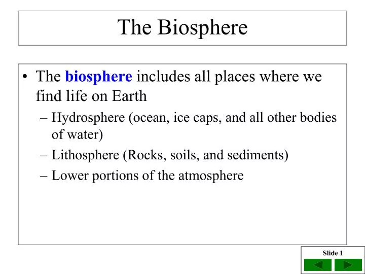 the biosphere
