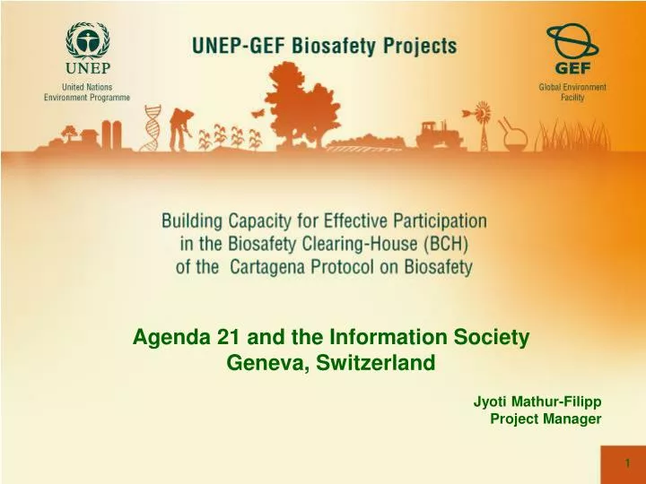 agenda 21 and the information society geneva switzerland