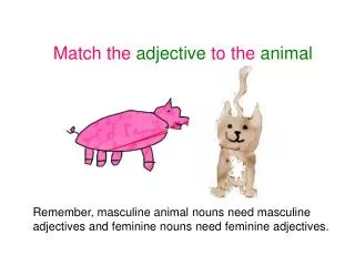 Match the adjective to the animal