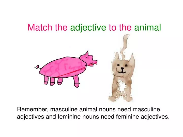 match the adjective to the animal
