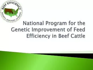 National Program for the Genetic Improvement of Feed Efficiency in Beef Cattle