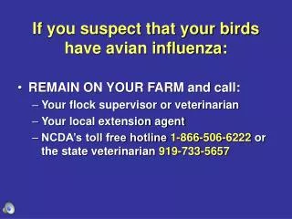 If you suspect that your birds have avian influenza: