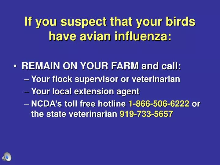 if you suspect that your birds have avian influenza