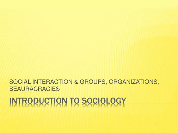 social interaction groups organizations beauracracies