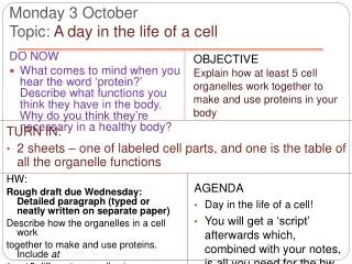 Monday 3 October Topic: A day in the life of a cell