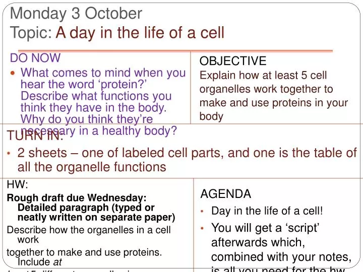 monday 3 october topic a day in the life of a cell