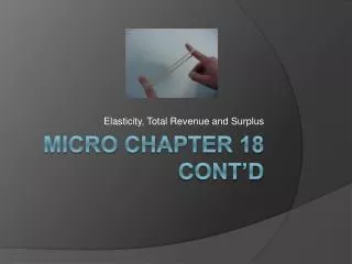 elasticity total revenue and surplus