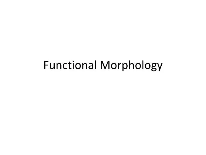 functional morphology