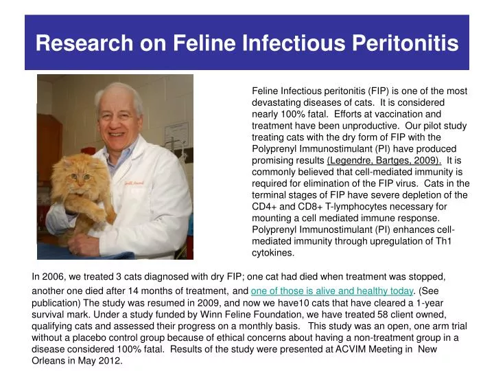 research on feline infectious peritonitis