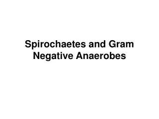 Spirochaetes and Gram Negative Anaerobes