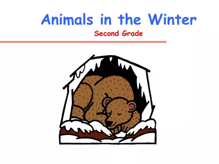 animals in the winter second grade