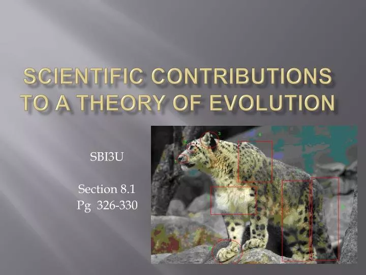 scientific contributions to a theory of evolution